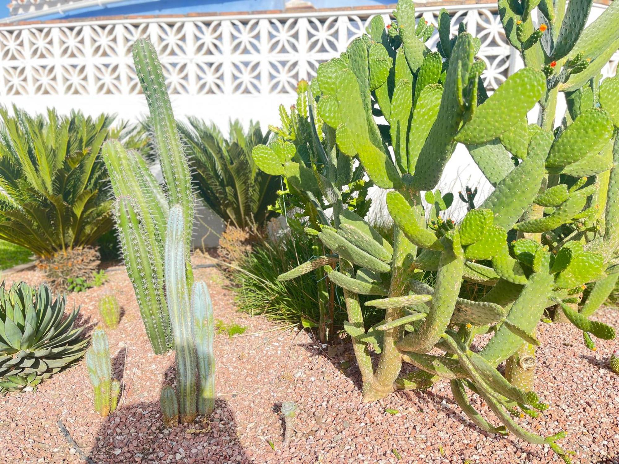 Casa vacanze Isabelita Torremolinos